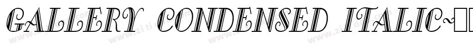 Gallery Condensed Italic字体转换